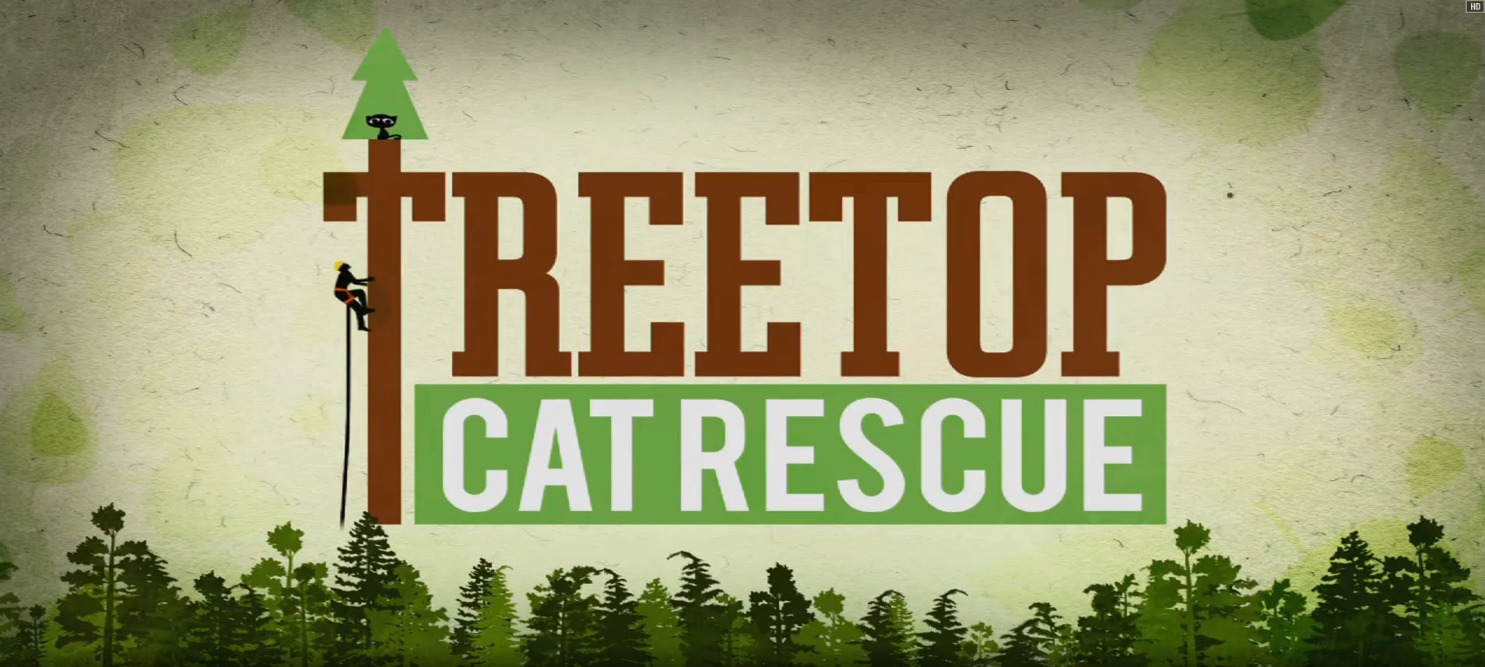 Treetop Cat Rescue