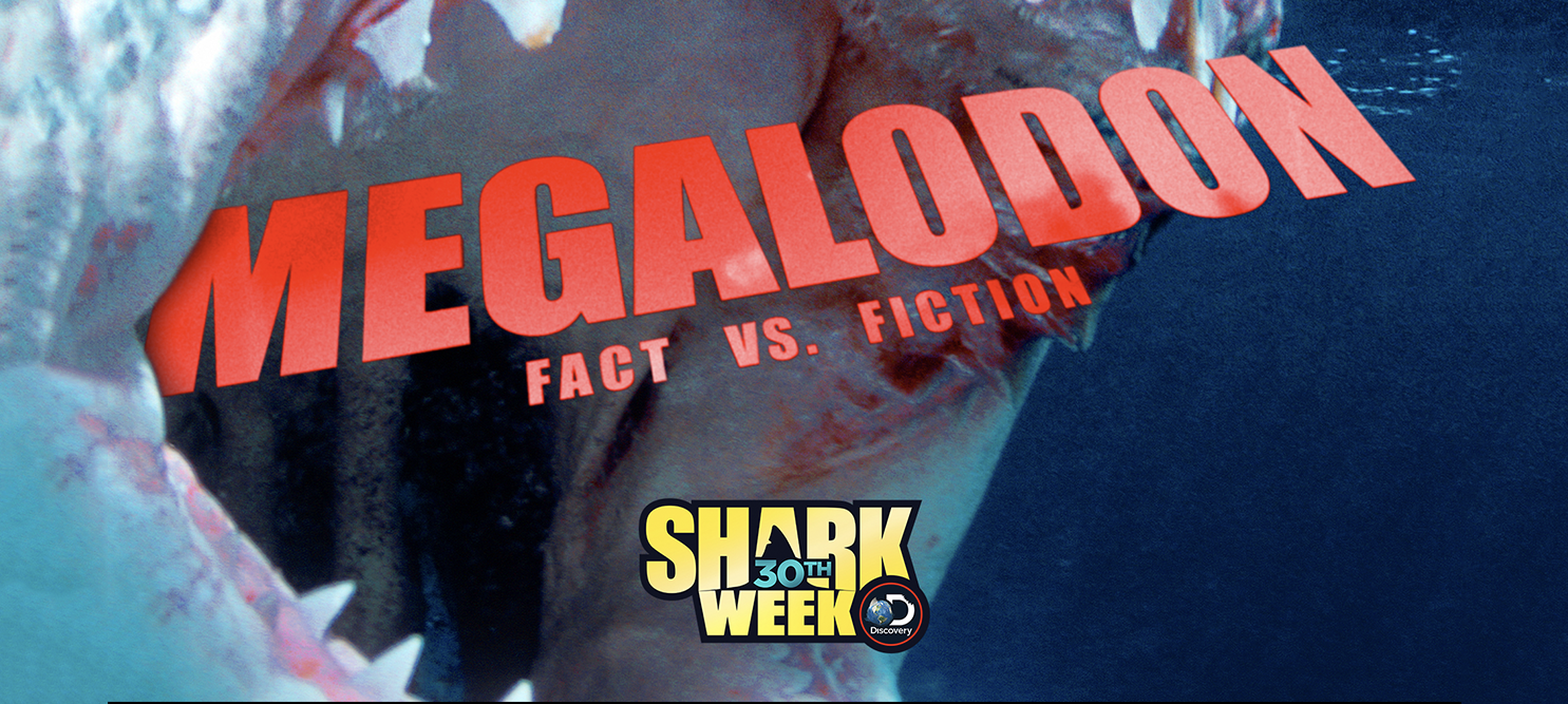 Megalodon: Fact vs. Fiction