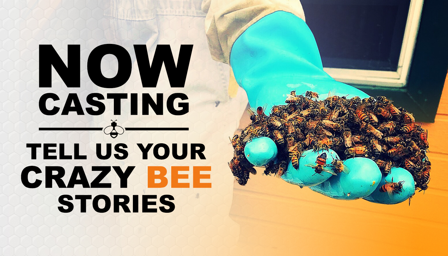 Ever Had a Problem With Bees On Your Property? Share Your Story on TV!