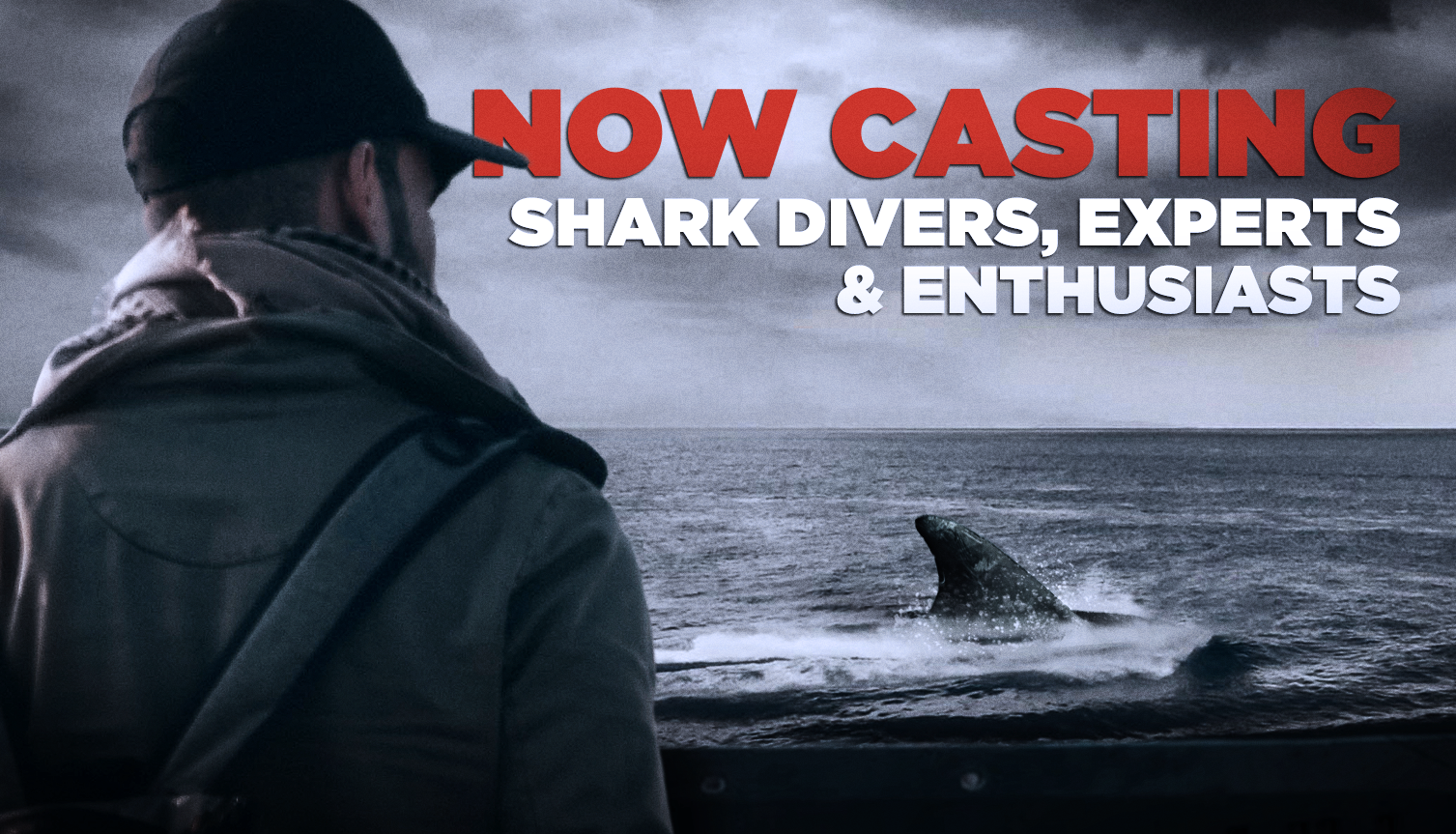 Now Casting Shark Divers, Wranglers, Experts and Adventurers to Join an Exciting New Expedition on TV!