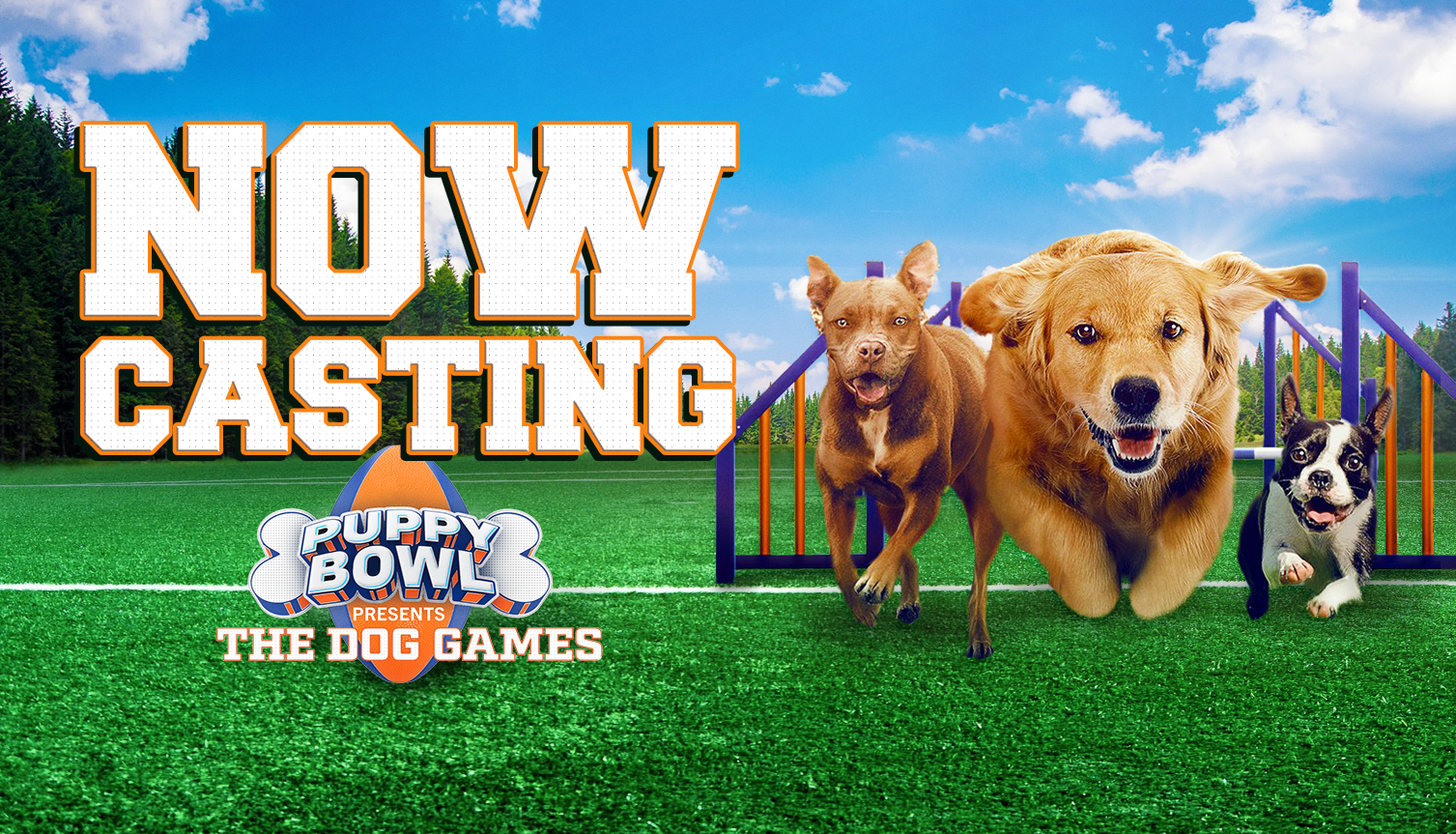 Now Casting Dog Owners and Trainers with Talented Pooches for the New Competition Series “Puppy Bowl Presents: The Dog Games”!