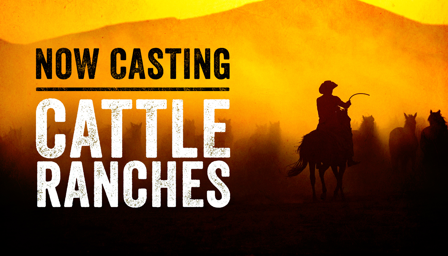 Pilgrim Media & the Producers of Yellowstone Now Seeking a Cattle Ranch To Appear in a New TV Series
